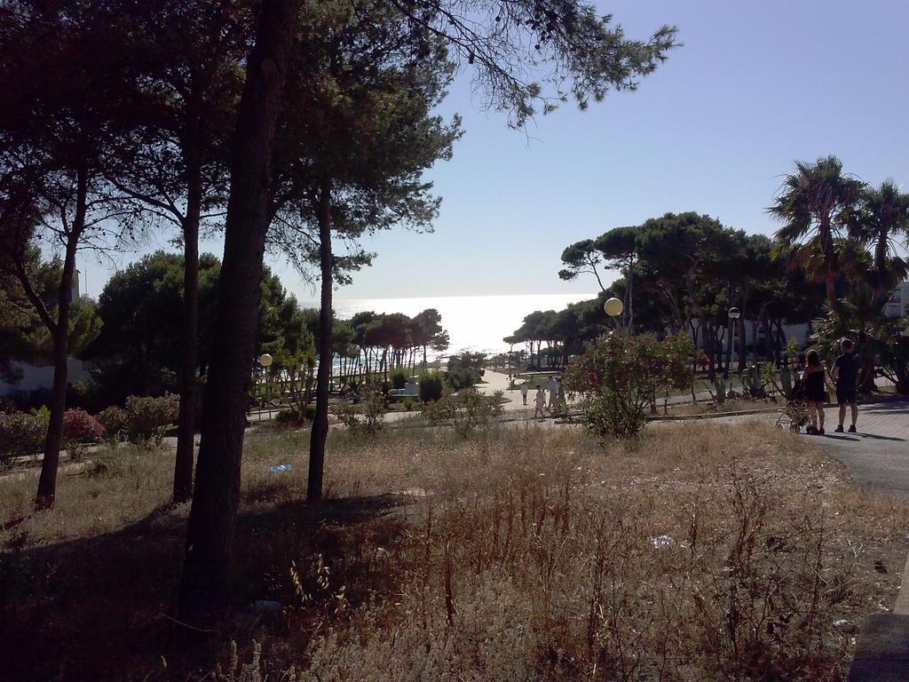 Apartamento La Rotonda C-116 Conil De La Frontera Cameră foto